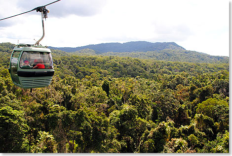 Mit der Seilbahn über den Regenwald: Durch den Glasboden der Kabinen des Skyrail Rainforest Cableway sieht die tropische Landschaft wie ein grüner Flickenteppich aus.