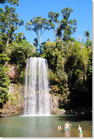 Naturschauspiel Millaa Millaa Falls. Erfrischende Badegelegenheiten wie dieser natrliche Pool mit Massageoption per Wasserfall sind nicht nur bei Camperfahrern wie uns willkommen.