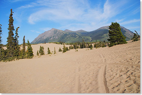 Carcross (die Abkrzung von Caribou Crossing) am Klondike Highway unweit von Whitehorse verdankt seinen Namen den Karibuherden, deren Wanderwege sich hier, zwischen Lake Bennett und Tagish Lake, kreuzte. Zu Zeiten des Goldrauschs war der Ort ein wichtiger Umschlagplatz fr Gter, die von der Eisenbahn auf Heckraddampfer verladen und ber die Seen und den Yukon River verschifft wurden. Berhmt ist das Dorf vor allem wegen Carcross Desert  der kleinsten Wste der Welt.