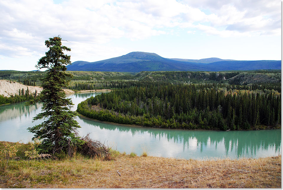  Der Takhini River ist ein Nebenfluss des Yukon. Von der SIR North Country Ranch des deutschen Auswandererehepaares Ingrid und Rolf Schmitt geniet man diesen Blick auf ihn  oder nutzt seine Nhe zu einer Paddeltour. Jetzt im Winter, wenn ihn eine dicke Eisschicht bedeckt, wird er als Laufstrecke fr das Schlittenhunderennen Yukon Quest genutzt.