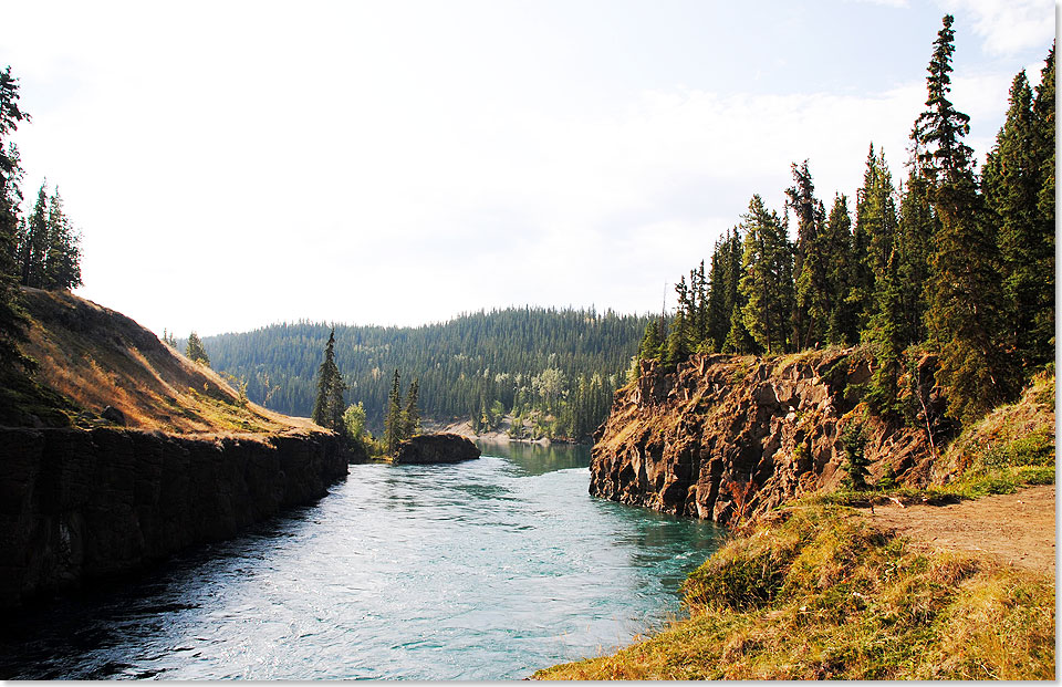 Der Yukon River hat viele und sich schnell ändernde Gesichter. In der Gegend von Whitehorse fließt er größtenteils recht ruhig wie hier, beeindruckt aber auch mit schäumenden Stromschnellen, die den Gründern der Stadt wie wilde weiße Pferde erschienen. So kam sie zu ihrem Namen.