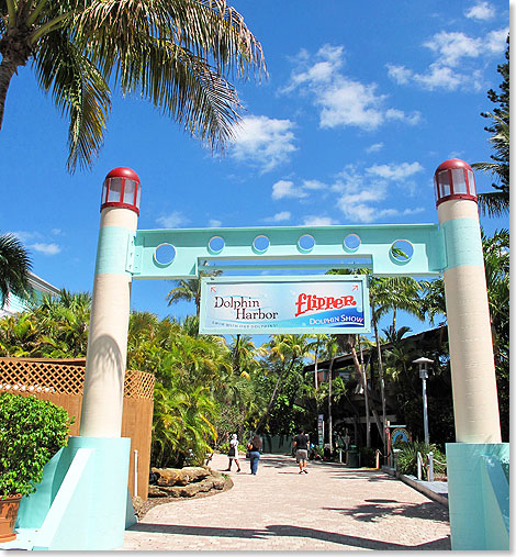 Die Heimat von Flipper: Im Dolphin Harbor des Miami Seaquarium stehen Begegnungen mit Delfinen auf dem Programm.  