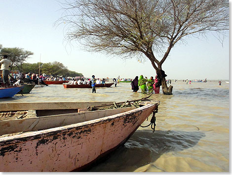 Der rund 500 Kilometer lange und maximal sieben Kilometer breite Stausee von Jebel Aulia ist heute das zweitgrte Wasserreservoir im Sudan und einer der wichtigsten Fischfanggrnde des Landes. Zu den vorherrschenden Fischarten gehren Nilhechte, die wegen ihrer eigentmlichen Rssel auch Elefantenfische