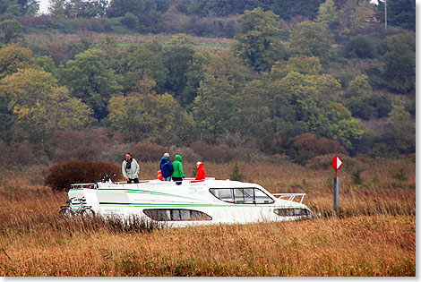 ber den Schilfspitzen auf dem Shannon dahingleiten