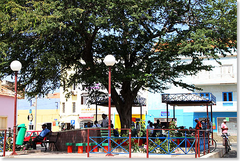 Zentraler Platz unter schattigem Baum in Mindelo.