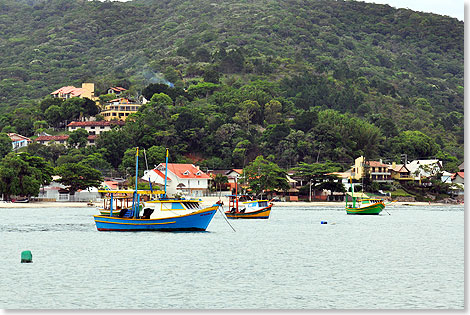 Porto Belo ist Ausgangspunkt fr Tauchgnge oder Ausflge, z.B. nach Blumenau.