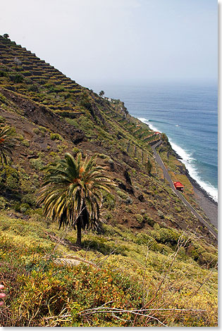 Terrassierte Nordkste von La Gomera mit Uferstrae.