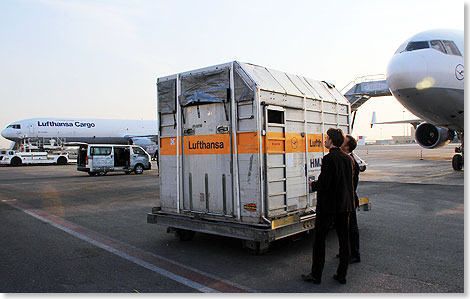 Auch 
	diese Pferdebox ist gut in Sharjah angekommen