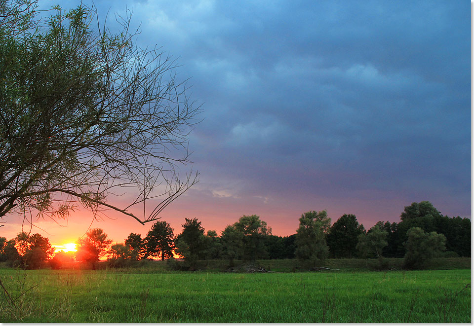 Sonnenuntergang ber dem Netzebruch