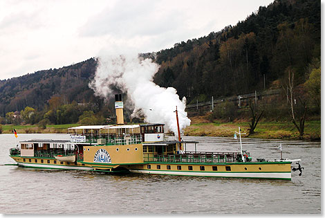 Der Dampfer STADT WEHLEN grt vor Bad Schandau.