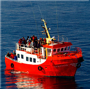 Eisfjord bei Ilulissat. Der Trawler ist der Grte 