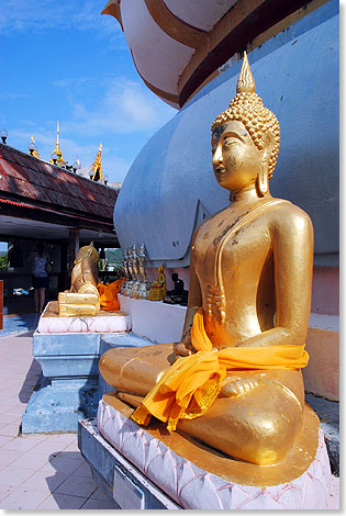 Big Buddha (im Hintergrund sein Thronsockel) wird von vielen kleineren Buddhafiguren umringt. 