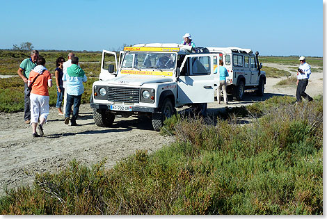 Gelndegngige Landrover sind die richtigen Fahrzeuge fr die Camargue, sie finden Wege, die kein Bus benutzen kann. 