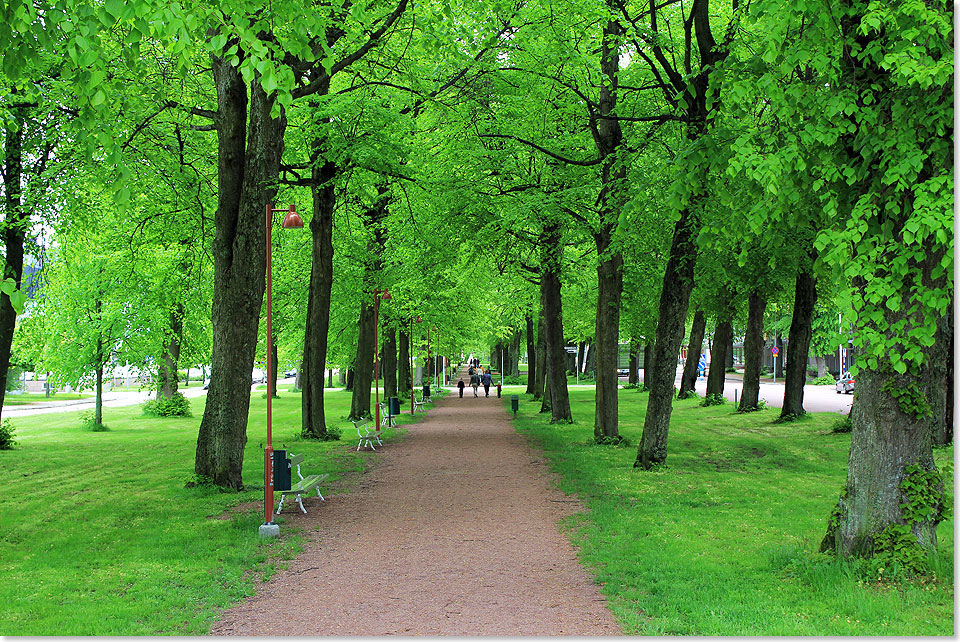 Mariehamn auf den land-Inseln  fast unnatrlich grn sind die frischen Bltter und das Gras an dieser Allee vom Hafen in die Stadt an diesem 4. Juni 2014.