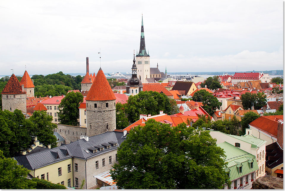 Postkartenblick auf die Altstadt von Tallinn.