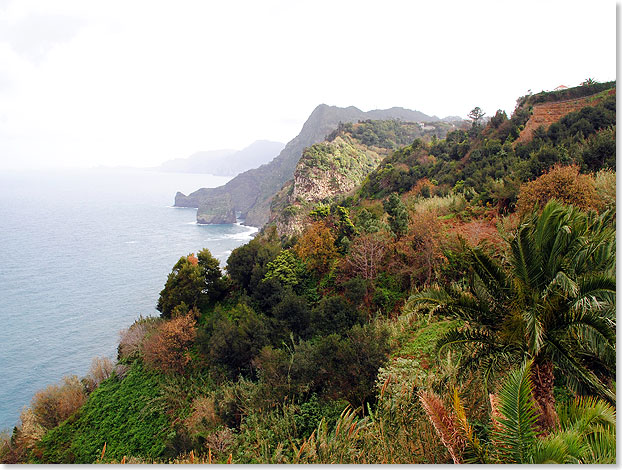 Wie fast berall fllt Madeira auch an seiner Nordostkste steil in den Atlantik ab. Sandstrnde gibt es auf der Hauptinsel so gut wie gar nicht. 