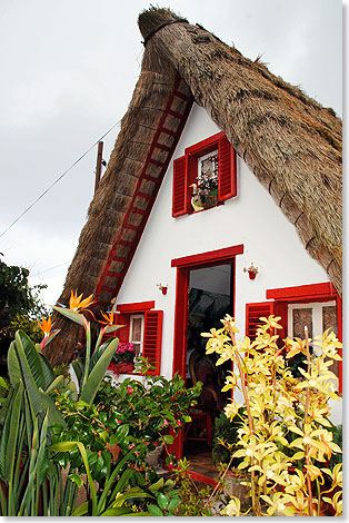 Traditionelles strohbedecktes Bauernhaus in Santana im Norden Madeiras.