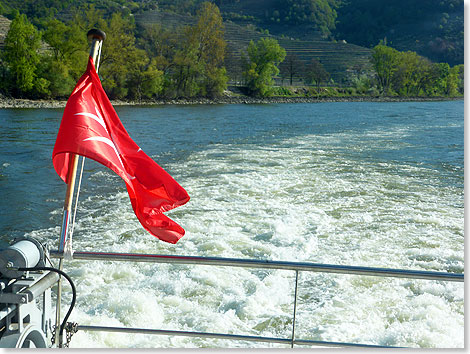 Die wunderschne Heckwelle der TUI MELODIA war nicht nur in der Wachau ein beliebtes Fotomotiv. 