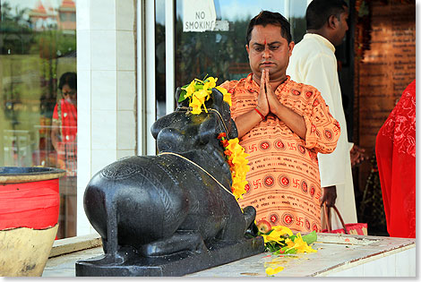 Ein Hindu ist im Gebet an einer Tiergott-Figur versunken.