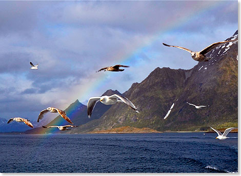 Mwen begleiten die MS NORDSTJERNEN unter einem Regenbogen. 