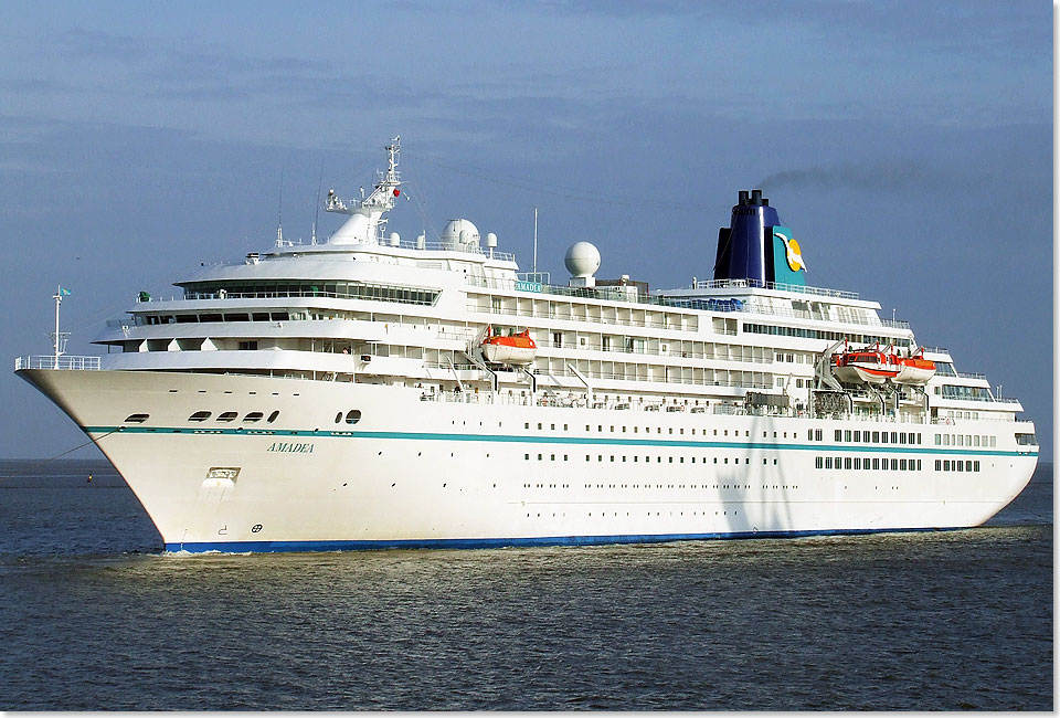 MS AMADEA