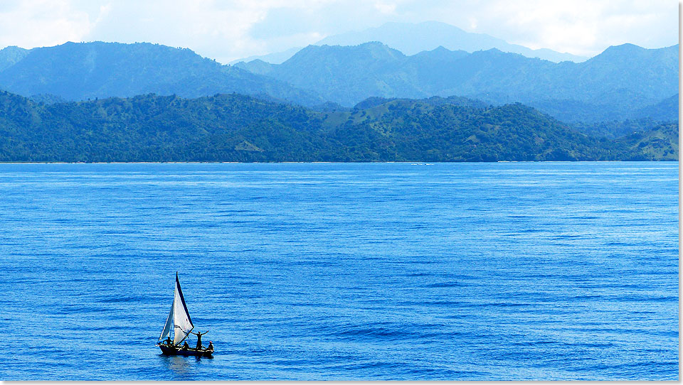 Die ZUIDERDAM fhrt nahe an Haiti vorbei. Fischer winken, und wer genau hinschaut, sieht Fliegende Fische. Die sind viel kleiner als gedacht, und viel schneller 