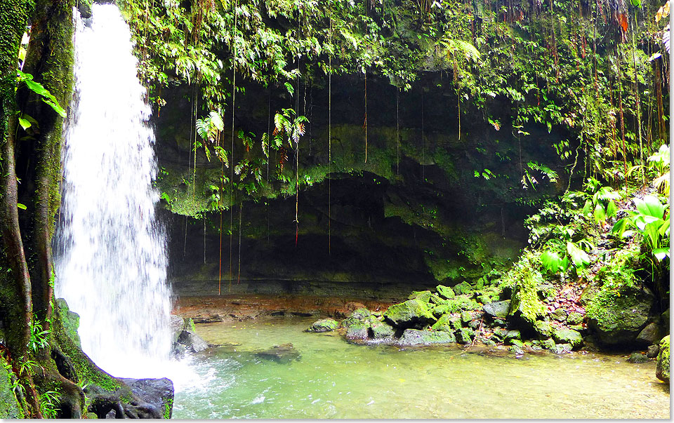 ... und zahlreichen Wasserfllen wie z.B. dem Emerald Pool.