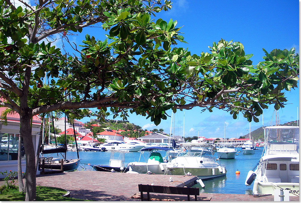 Der Hafen fr die kleineren Yachten und Motorboote in Gustavia.