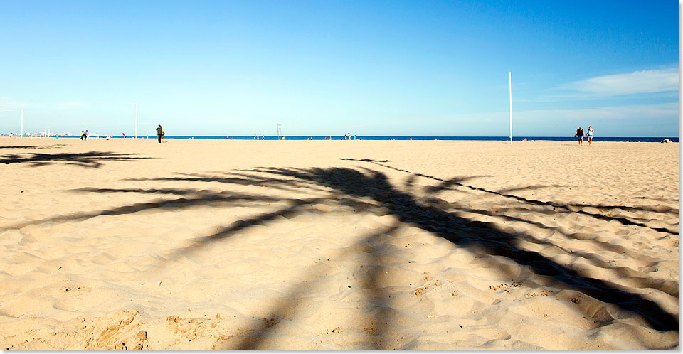 Sandstrand bis zum Horizont  der Stadtstrand in Valencia, zwei Palmen werfen Ihren Schatten auf den Sand. 