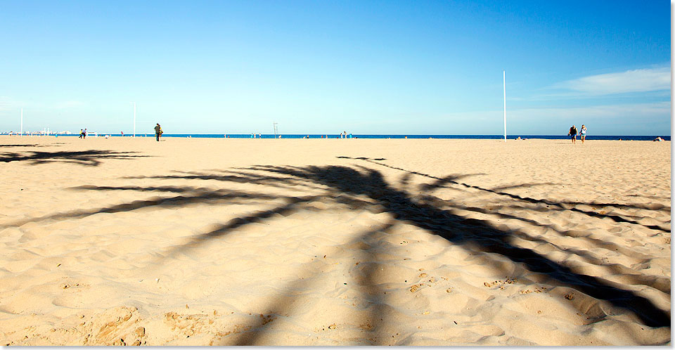 Sandstrand bis zum Horizont  der Stadtstrand in Valencia, zwei Palmen werfen Ihren Schatten auf den Sand. 