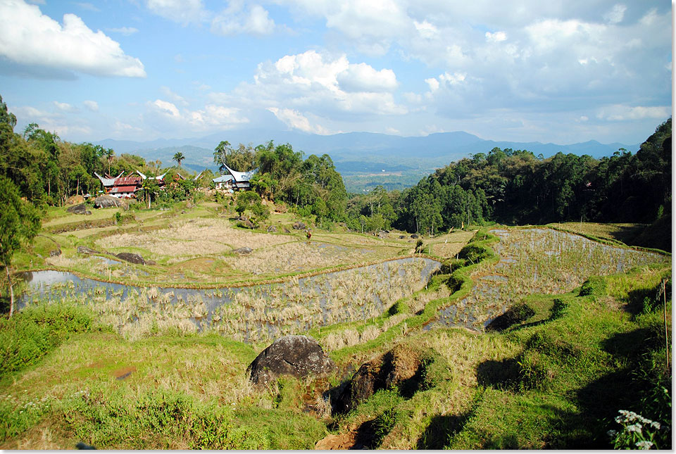 Bevor es wieder zurck in die Hauptstadt Makassar geht, besuchen wir das Bergdorf Palawa mit seinen zahlreichen gut erhaltenen alten Bffelhornhusern und genieen die pittoreske Landschaft Sdsulawesis.