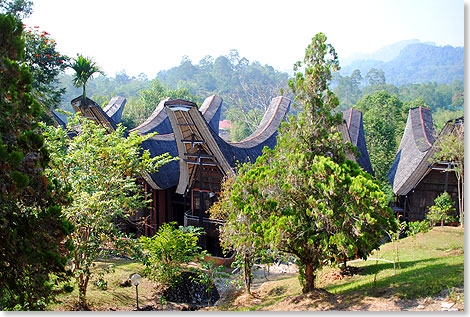 Im Toraja Heritage Hotel bei Rantepao wohnen die Gste, umgeben von tropischer Natur und den malerischen Kulissen des Toraja-Hochlandes, in stilechten, komfortabel ausgestatteten Tonkonans.