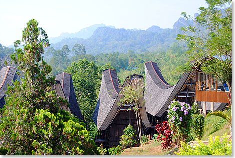 Ganz wie die echten Wohnhuser sind auch die Tonkonans des Toraja Heritage Hotels mit prchtigen Schnitzarbeiten und Malereien verziert.