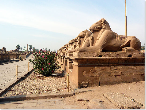 Sphinxe in einer langen Reihe bewachen Eingang  und Ausgang der Tempelanlage von Karnak. 