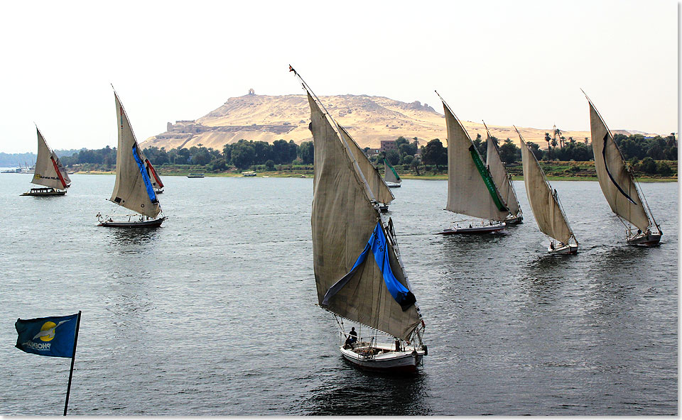 Feluken-Regatta vor Assuan.
