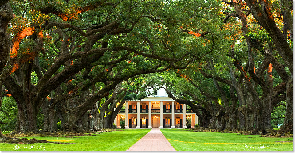 Die Oak Alley Plantation ist eine typische Anlage aus den Zeiten des Grand Old South, als Damen in der Krinoline unter Hten und Sonnenschirmen ihr Leben an der Seite ihrer schneidigen Herren, diese Welt bevlkerten.