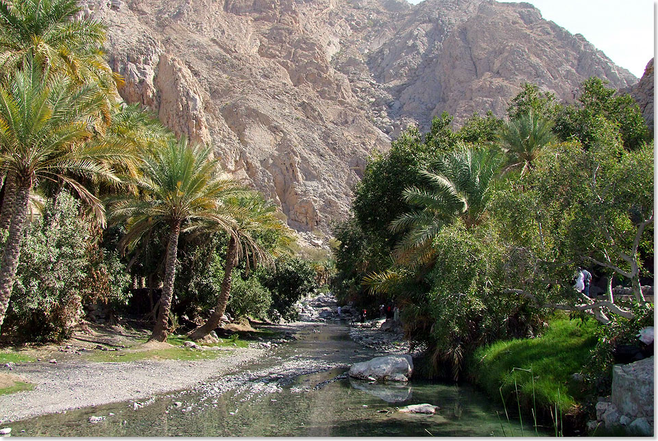 Inmitten des grnem Wadi von Ayn Thowarah sprudelt rund 42 Grad heies Wasser aus den Bergspalten.