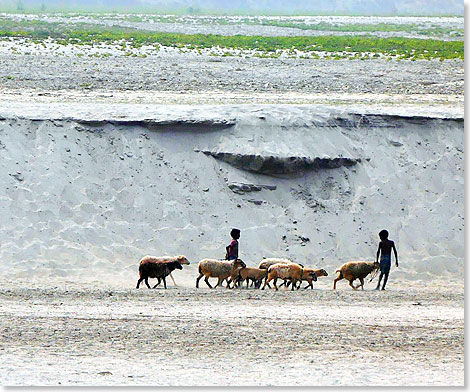 Hirten-Kinder am Brahmaputra.