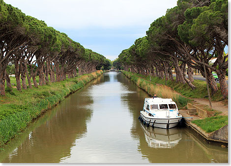 Canal du Midi: Einsamer bernachtungs-Liegeplatz unter Pinien im Canal de Jonction.