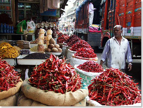 Auf dem Gewrzmarkt von Mumbai.