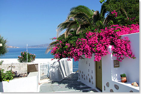 Pollonia ist ein Dorf mit weien Steinhusern, stufigenStraen und duftenden Bougainvillea.