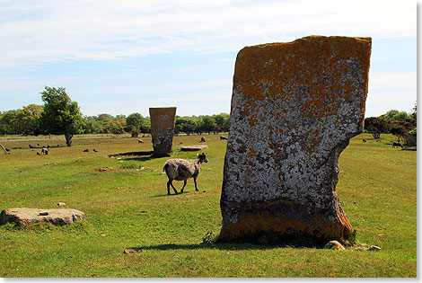 Runensteine mit Knigsgrbern der historischen Wikingersiedlung von Ottensby.