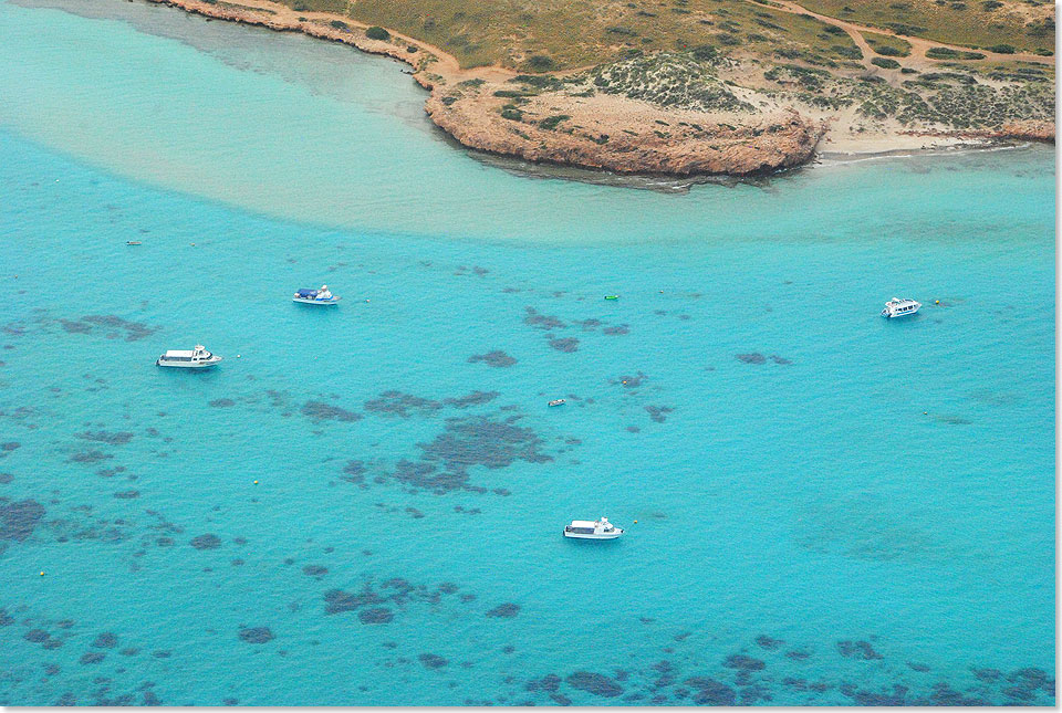 Mit ber 250 Kilometer Lnge ist das Ningaloo Reef im Nordwesten Westaustraliens das grte Saumriff der Welt. Hier leben unzhlige Arten von Korallen und Fischen, Schildkrten und Meeressugern.