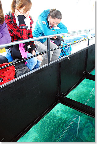 Bunte Fische und Korallen: Der Blick durch die dicken Bodenfenster des Bootes macht Appetit auf mehr. 