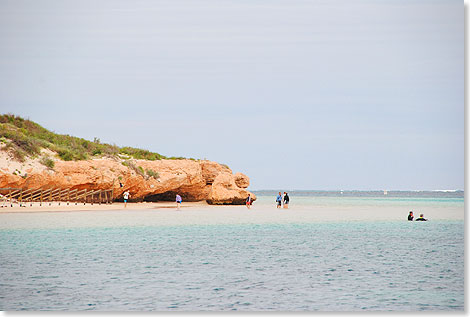 Das Ningaloo Reef umrandet die Coral Coast in unmittelbarer Nhe zum Festland. An vielen Stellen kann man es ohne Mhe schwimmend erreichen.