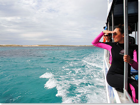 Die Schnheit des Ningaloo Reefs erzeugt Glcksgefhle pur. Selbst vom Schiff aus kann man viele Meeresbewohner sehen.