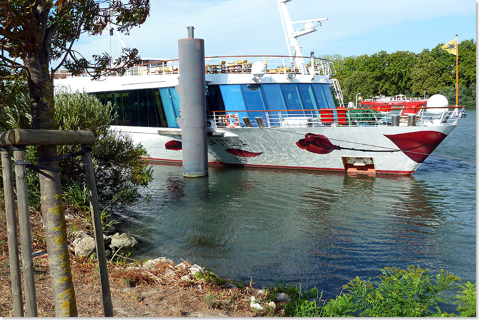 Die A-ROSA STELLA hat festgenmacht, um Passagiere an Land zu setzen und spter wieder aufzunehmen. Anleger und kleine Hfen auch fr Sportboote schmcken den Fluss. Da wirkt das Kreuzfahrtschiff wie ein Riese. 