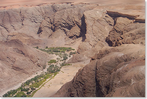 Unerwartetes Grün: In der Felseneinsamkeit des Canyon bringt seltener Regen gelegentlich Wasser in den ausgetrockneten Flusslauf. Und so wachsen Bäume mitten in der Wüste.