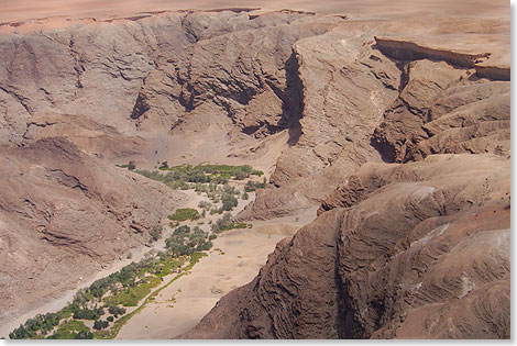 Unerwartetes Grn: In der Felseneinsamkeit des Canyon bringt seltener Regen gelegentlich Wasser in den ausgetrockneten Flusslauf. Und so wachsen Bume mitten in der Wste.