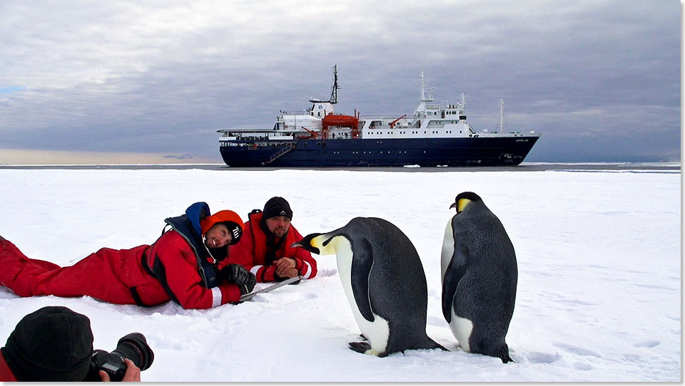 Kaiserpinguine vor der ORTELIUS.